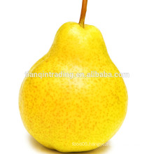 hebei ya pear price